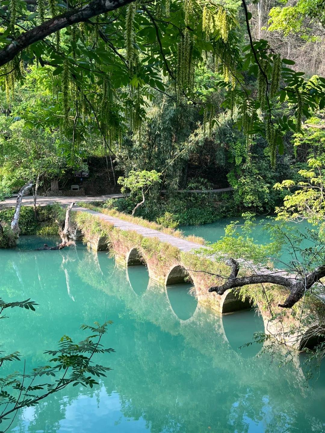 贵州旅游6天5晚跟团游攻略,景点 路线纯干货分享