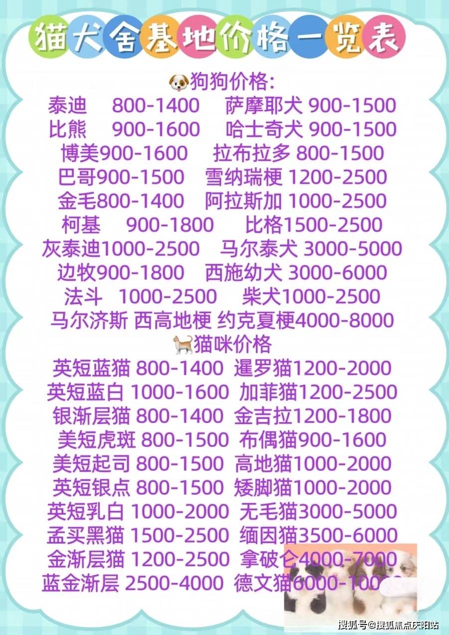 法斗,柯基,西施,查理王小猎犬,西高地白梗,吉娃娃,边境牧羊犬,金毛