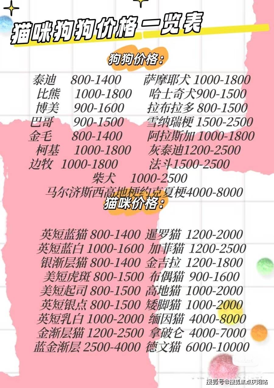 狗狗_猫咪_驱虫