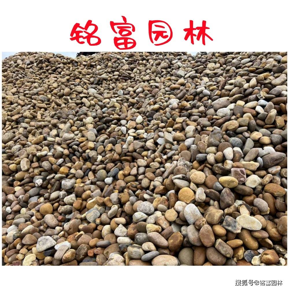 井研县鹅卵石图片