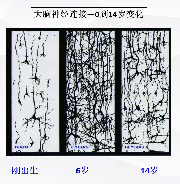 为什么说小孩子“三岁看大，七岁看八十”，都有哪些方面的依据？