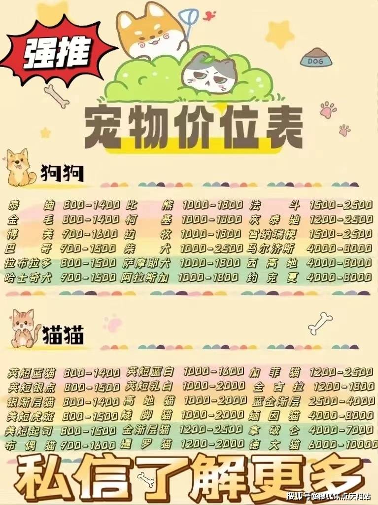 嘉兴买布偶首页网站嘉兴买布偶猫去哪里买首页网站丨