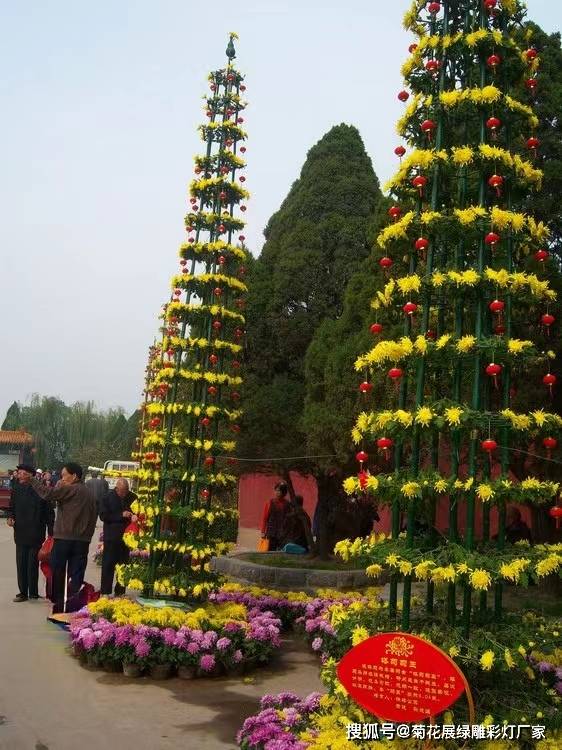 开封菊花获奖造型