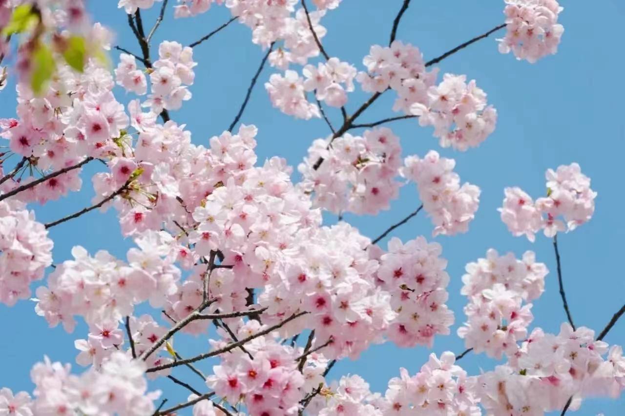 趁着春光明媚,4月10号,11号,广西,湖南,海南陆续开展"三月三潮玩节"