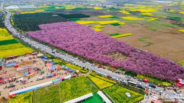 勉县漩水坪油菜花图片