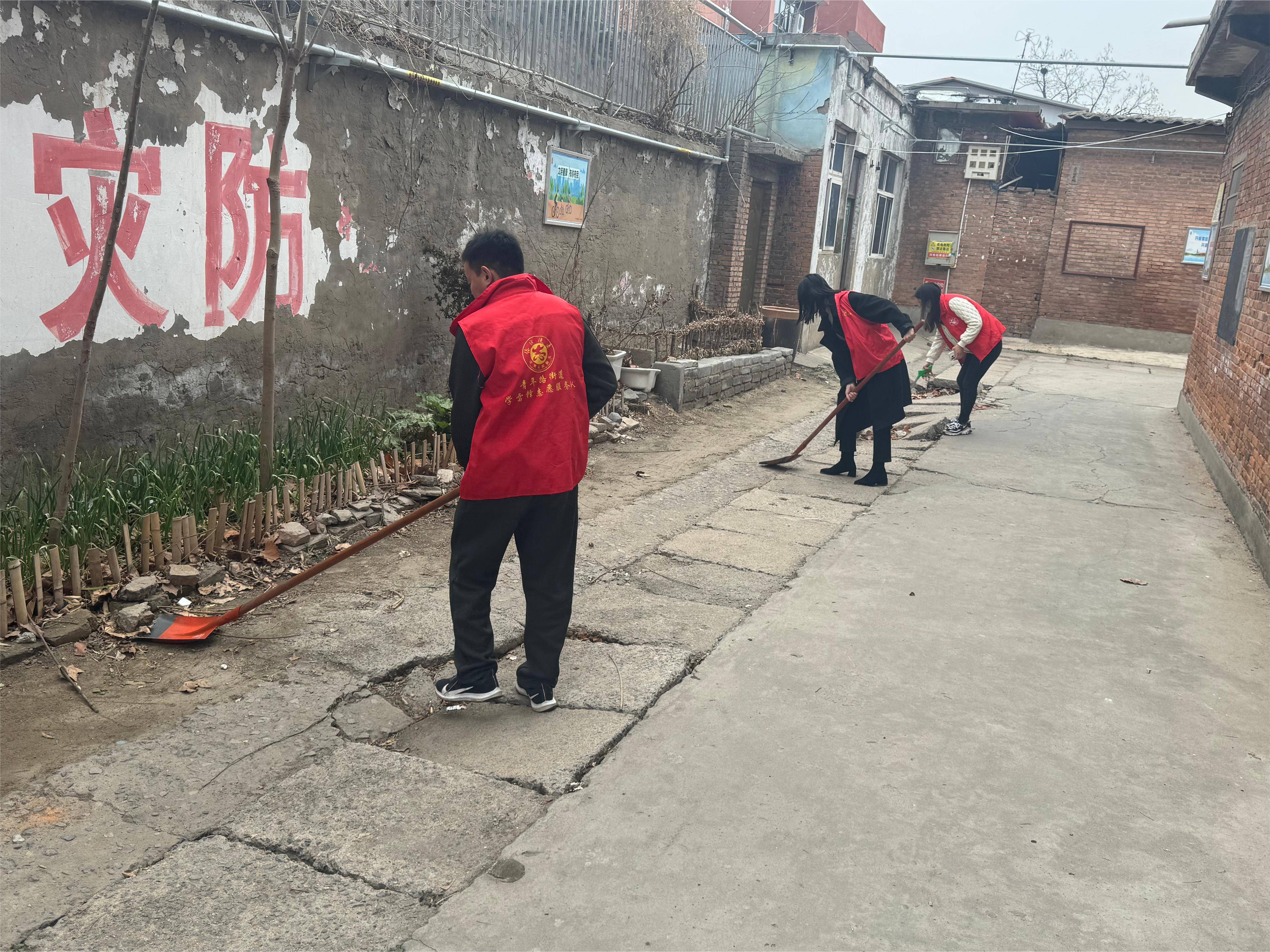 青年路街道开展网格化全城清洁活动_环境_城东社区_垃圾