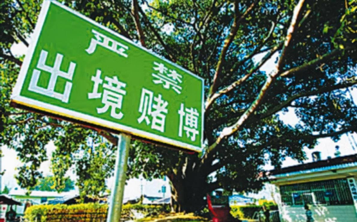 缅北赌场有多黑暗骗中国人去发财再当人质虐待女赌徒下场更惨