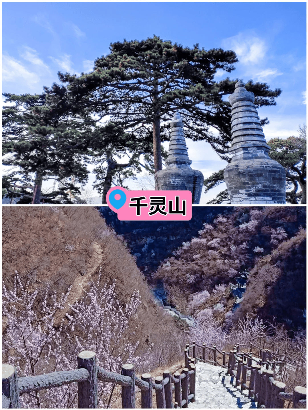 春暖花开,北京春天赏花徒步游玩合集_门票_特色_小时