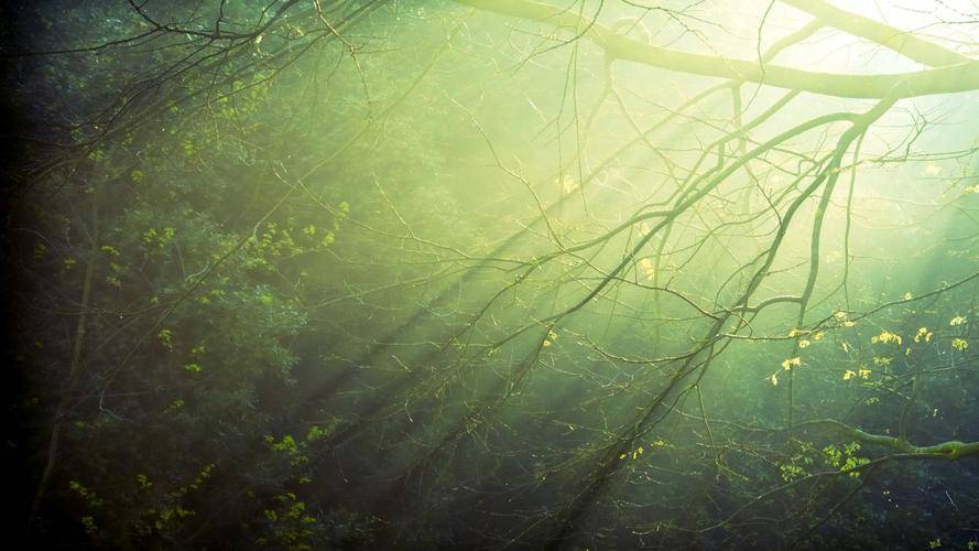 我以为姑姑跟舅舅一样亲，后来父亲去世了，我才知道是不一样的-姑姑和舅舅的区别在哪里