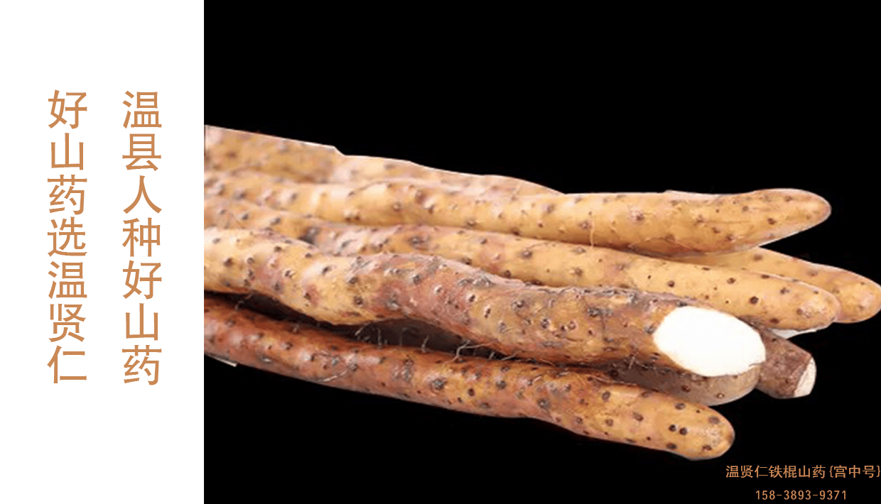 以品质赢得人心以口碑享誉华夏温贤仁专注做好正宗温县垆土铁棍山药