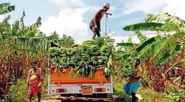 原创世界最危险国家之一3个月买卖一次媳妇一场球赛就能引发战争