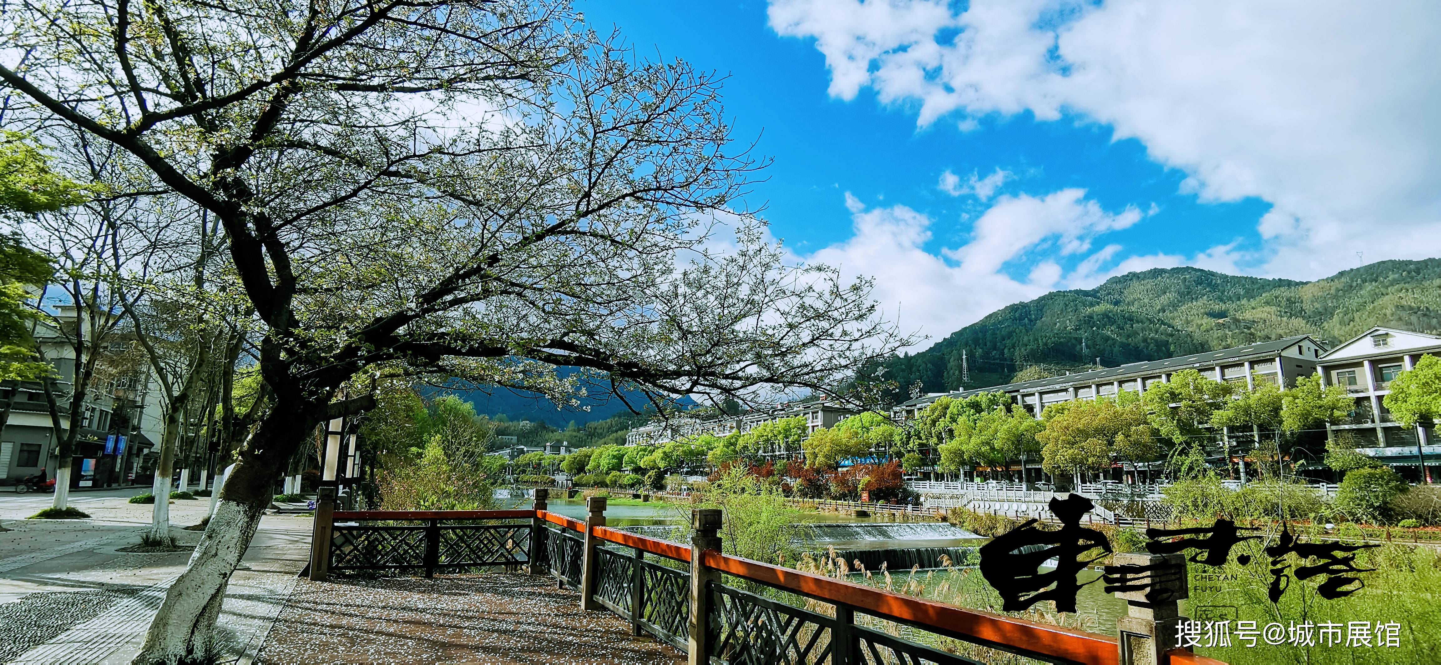 美炸了!畲乡景宁铺展壮美千里江山春景长卷,共同组成爱上景宁的理由