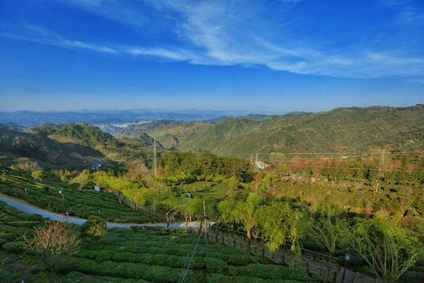 感受"朝秦暮楚地,自然中国心"竹溪春天带来的热情与__