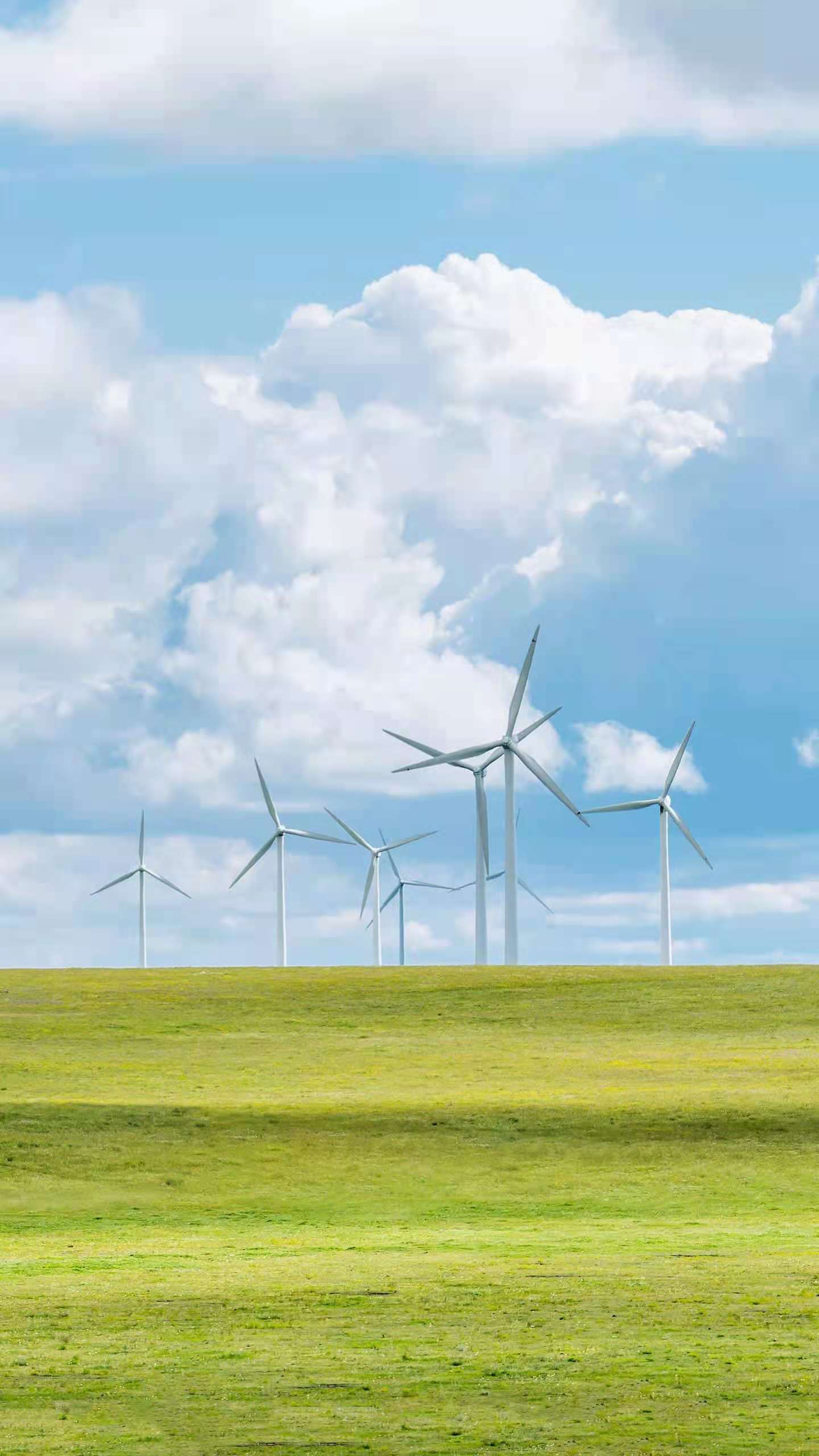 原创老人身份证不能免费乘坐公交车只有老年卡才可以