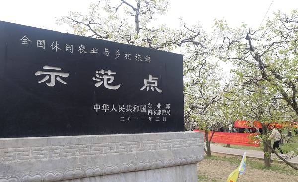 中国宁陵第二十一届梨花周在河南省宁陵县万亩梨园景区开幕