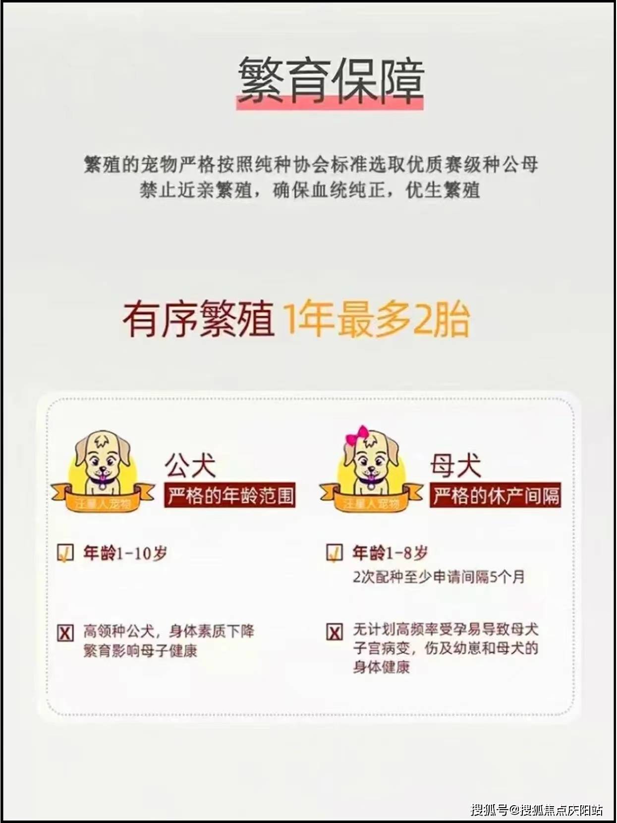 多少钱一只(桂林)博美犬多少钱一只丨买宠物详情_价格合理_服务_品质