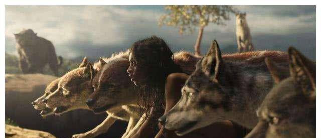 他写下了以狼孩毛克利为主角的小说《奇幻森林》,轰动一时,2016年还被