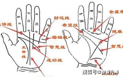 男人大富大贵手相图解图片