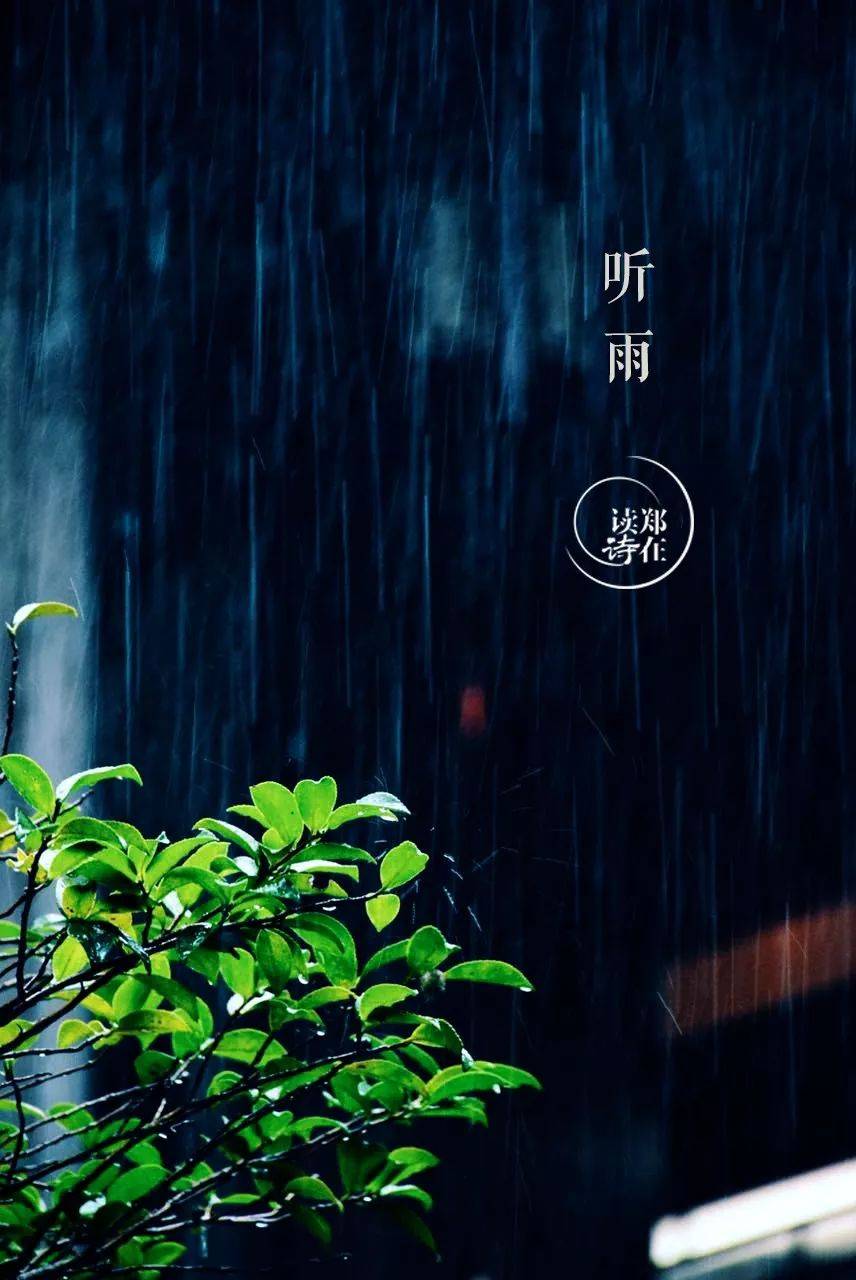 雨夜听雨图片 窗外图片