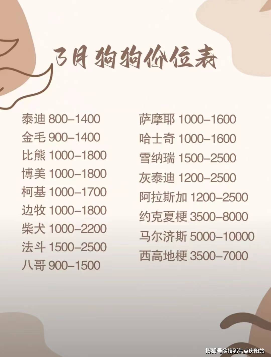 东莞金毛犬首页网站(东莞)买金毛犬哪里有实体店丨买