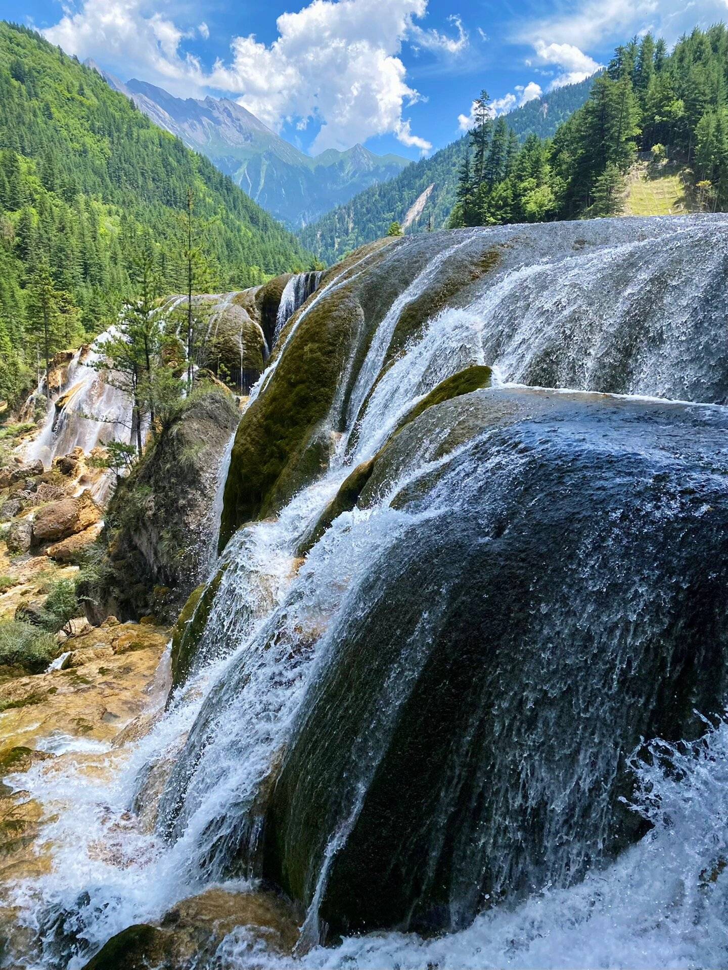 1440_1920竖版 竖屏