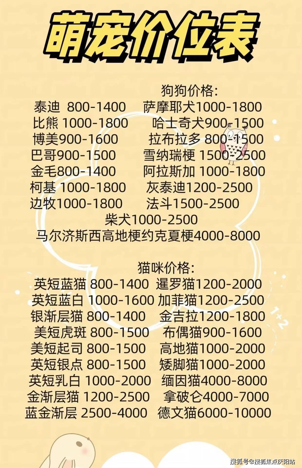 厦门买边牧首页网站丨边牧犬多少钱一只(厦门)边牧犬