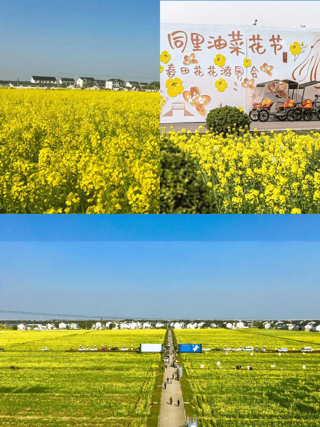 锦溪古镇#江浙沪周边游#苏州民宿#周末去哪儿玩#江浙沪民宿#自驾游