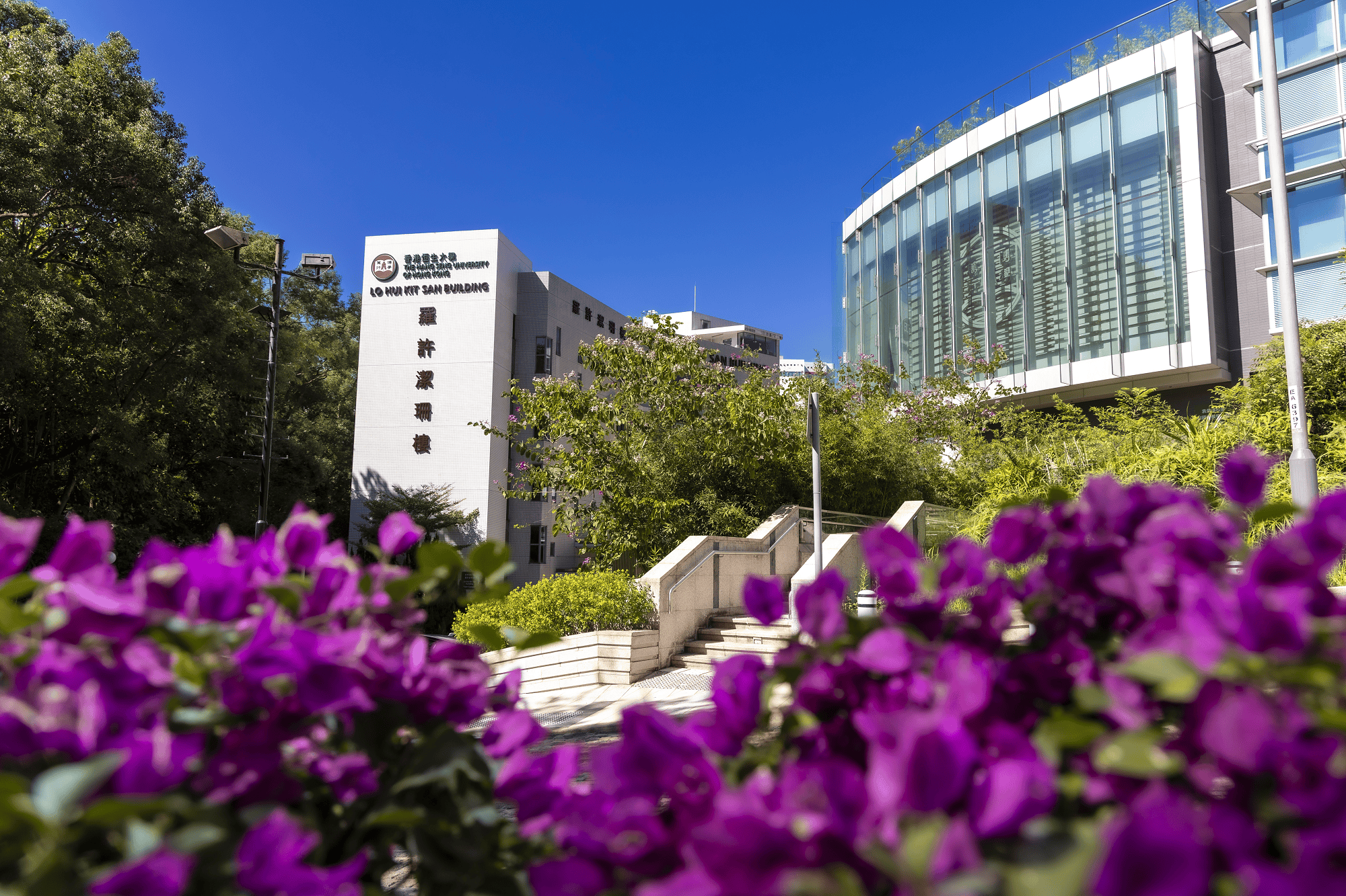 2024名校来了香港恒生大学新增艺术及文化传播课程报名6月9日截止