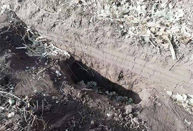 原创11岁男孩被用红领巾草绳勒死嫌疑人是自己父亲还自导自演寻子