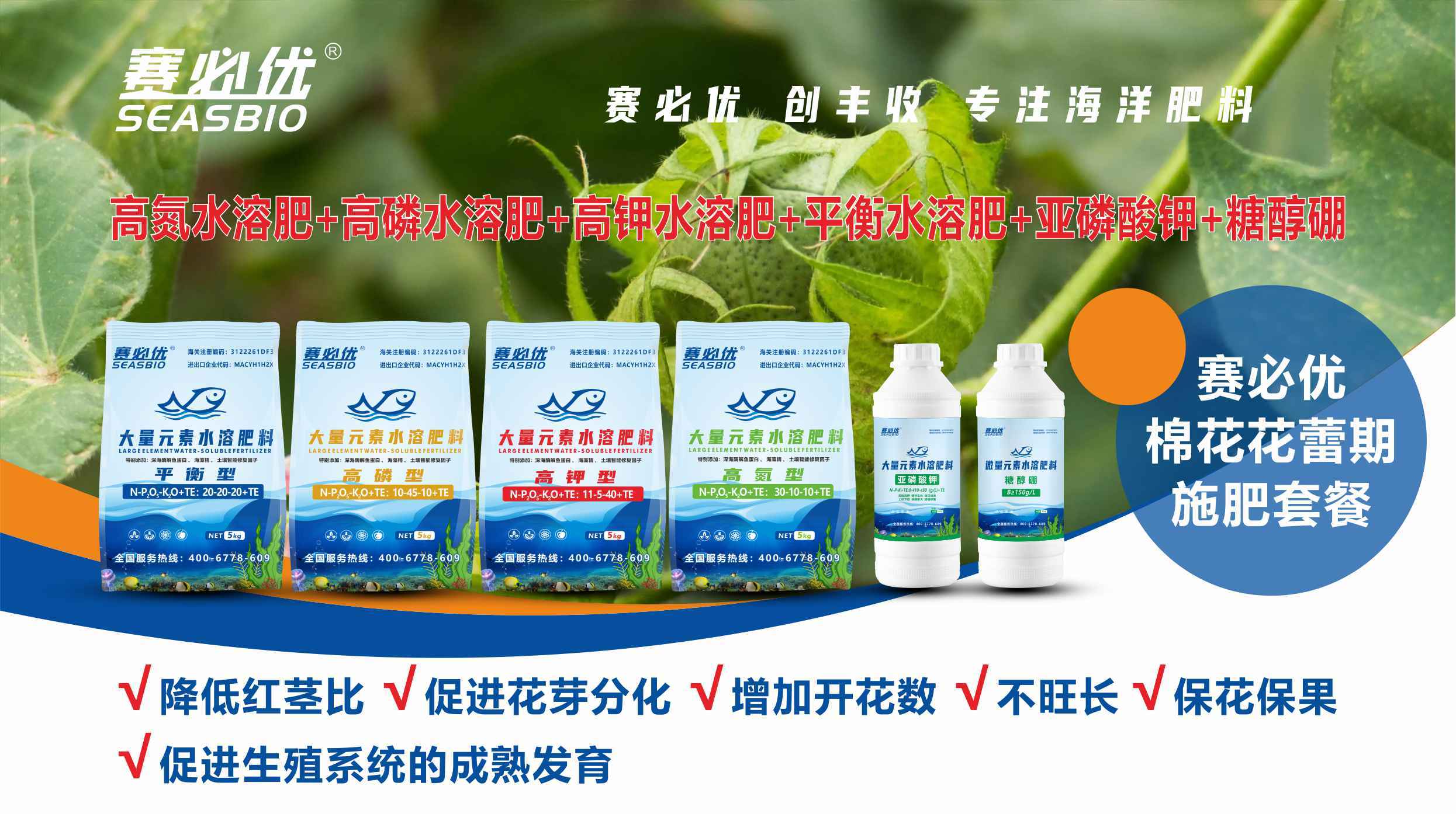 你了解棉花吗赛必优海洋肥带你走进棉花的一生