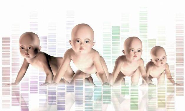 原创23年前克隆羊多莉诞生为何一直没有克隆人看看多莉的下场