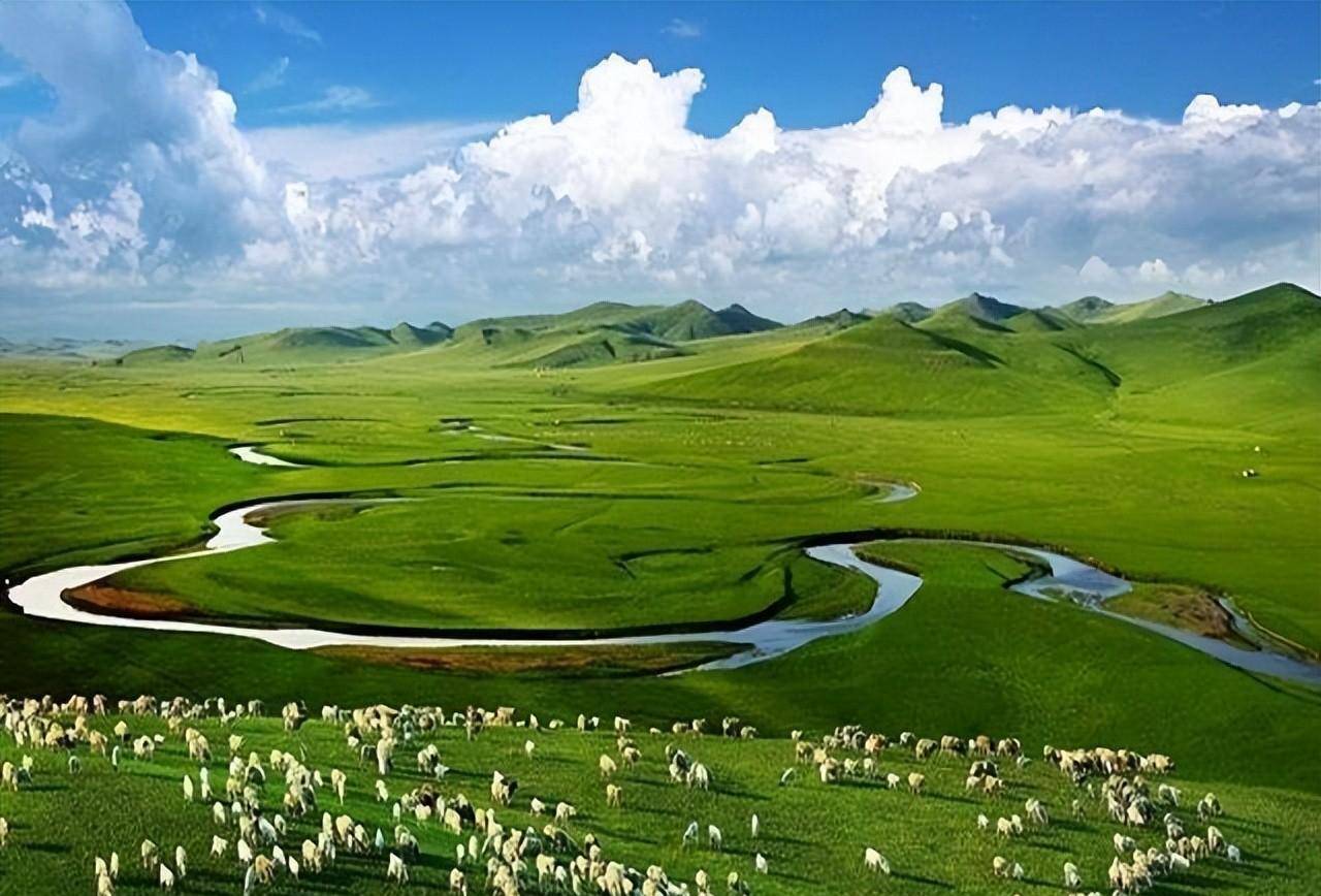 地区_西北_草原