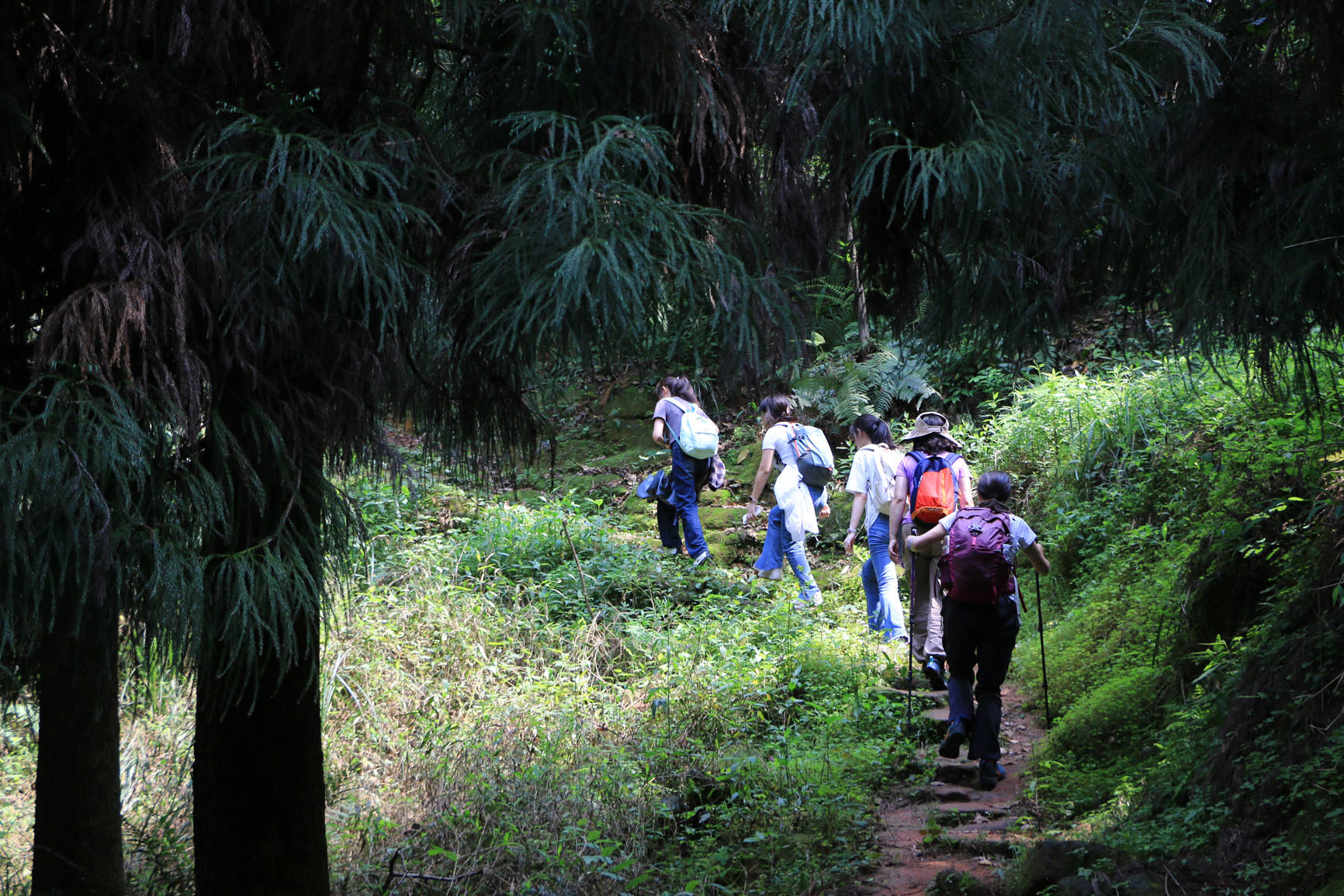 津彩村游清溪沟华盖山徒步行 零距离感受新时代"富春山居图"_江津