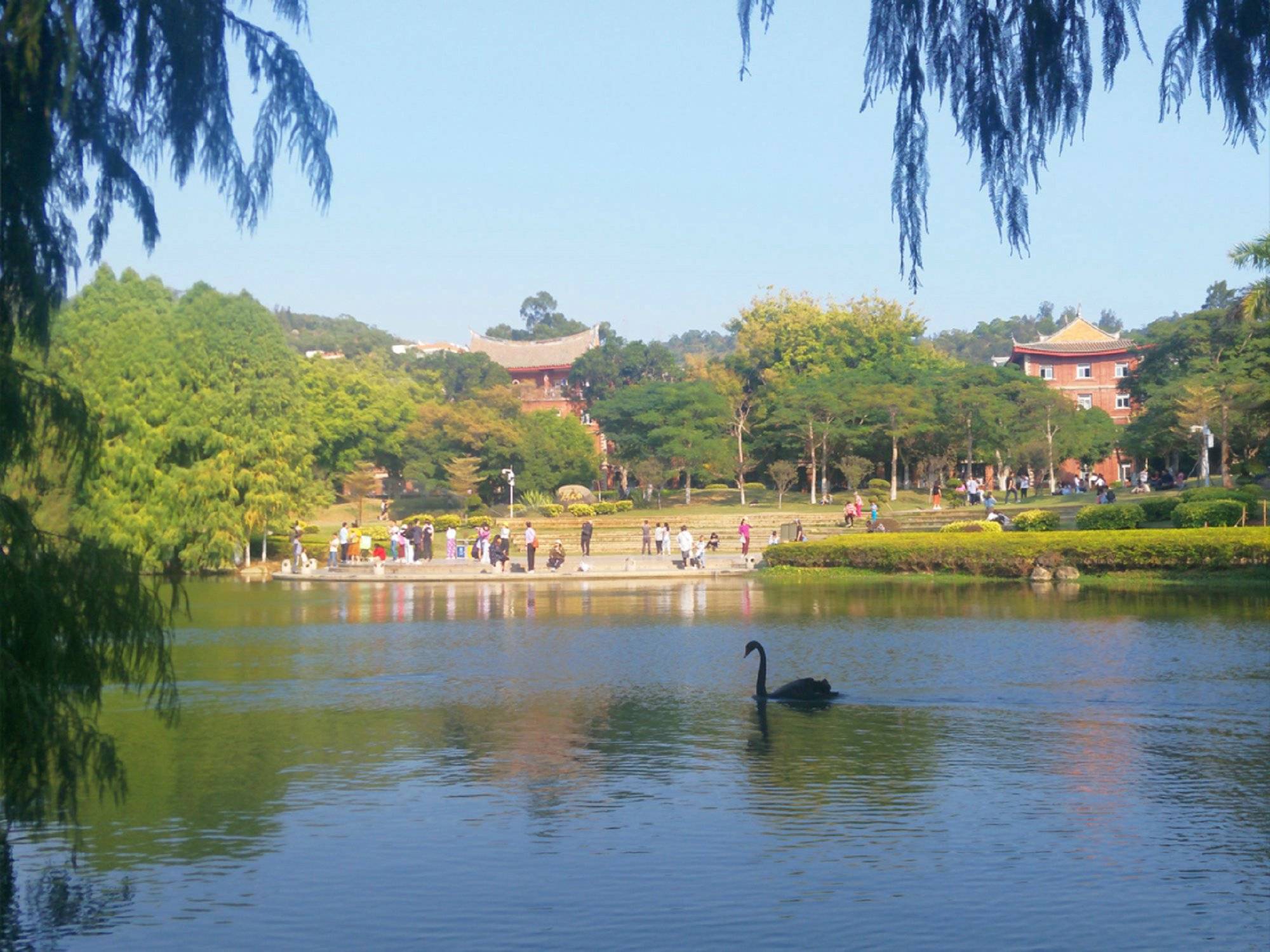 福建旅游4日游报团攻略最详细,福建旅游4日游报团必去景点_厦门_福州