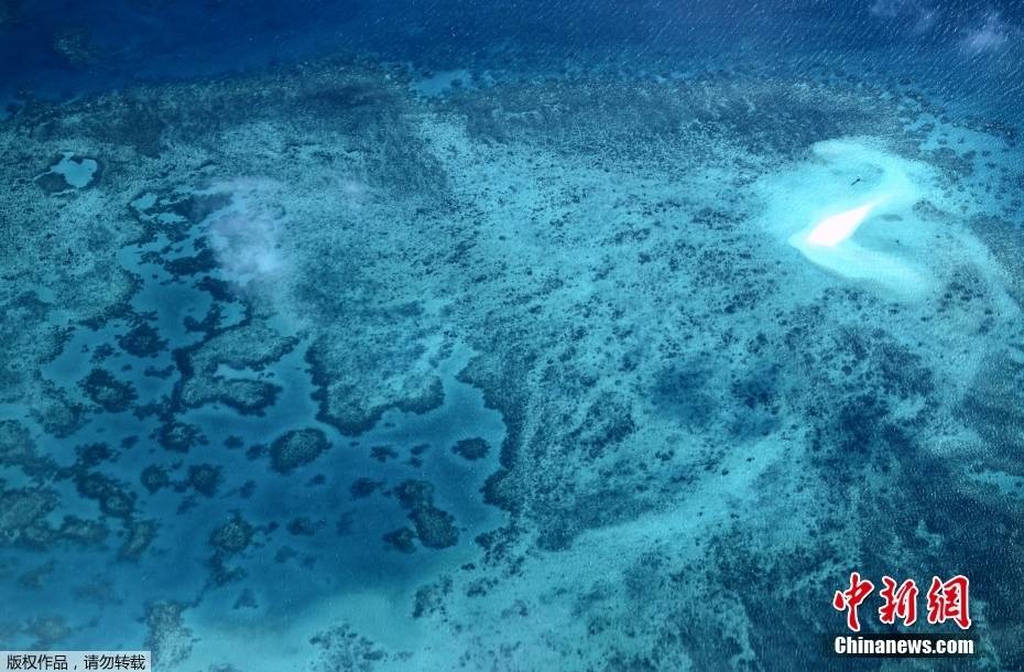 沉睡的秘密丨大堡礁骷髅会事件的惊人真相