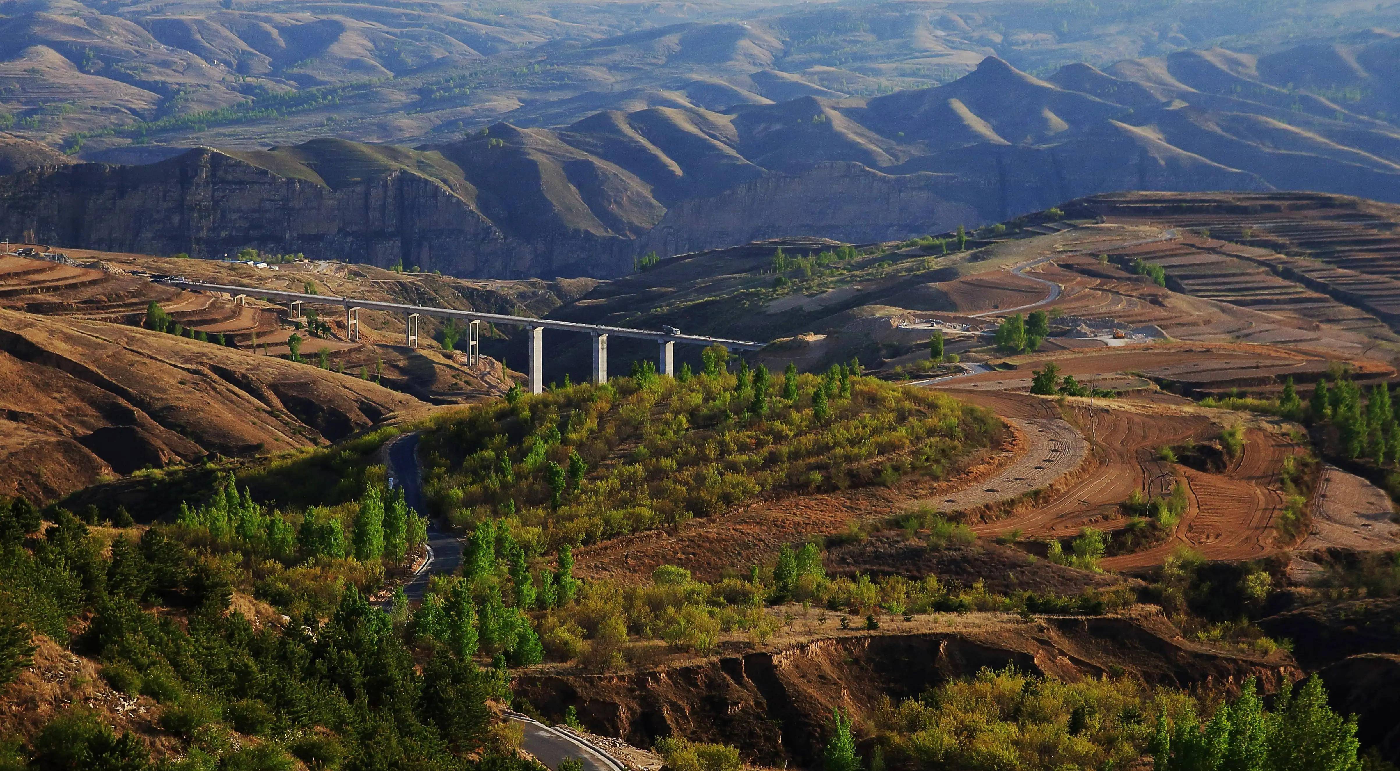 如果要使中国的森林恢复到古代的繁茂状态,最关键的问题在于如何有效