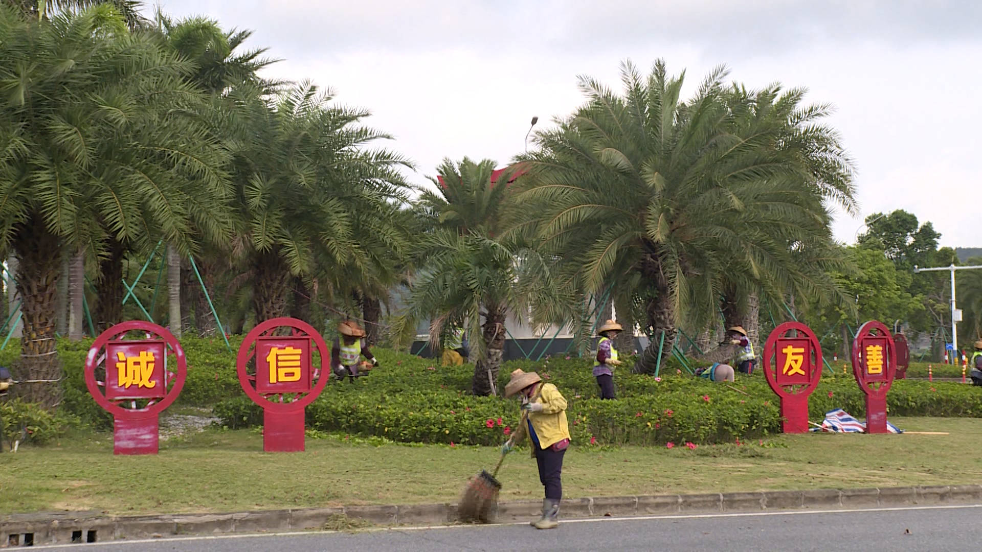 海陵试验区市政部门搞好市政道路美化绿化迎接旺季