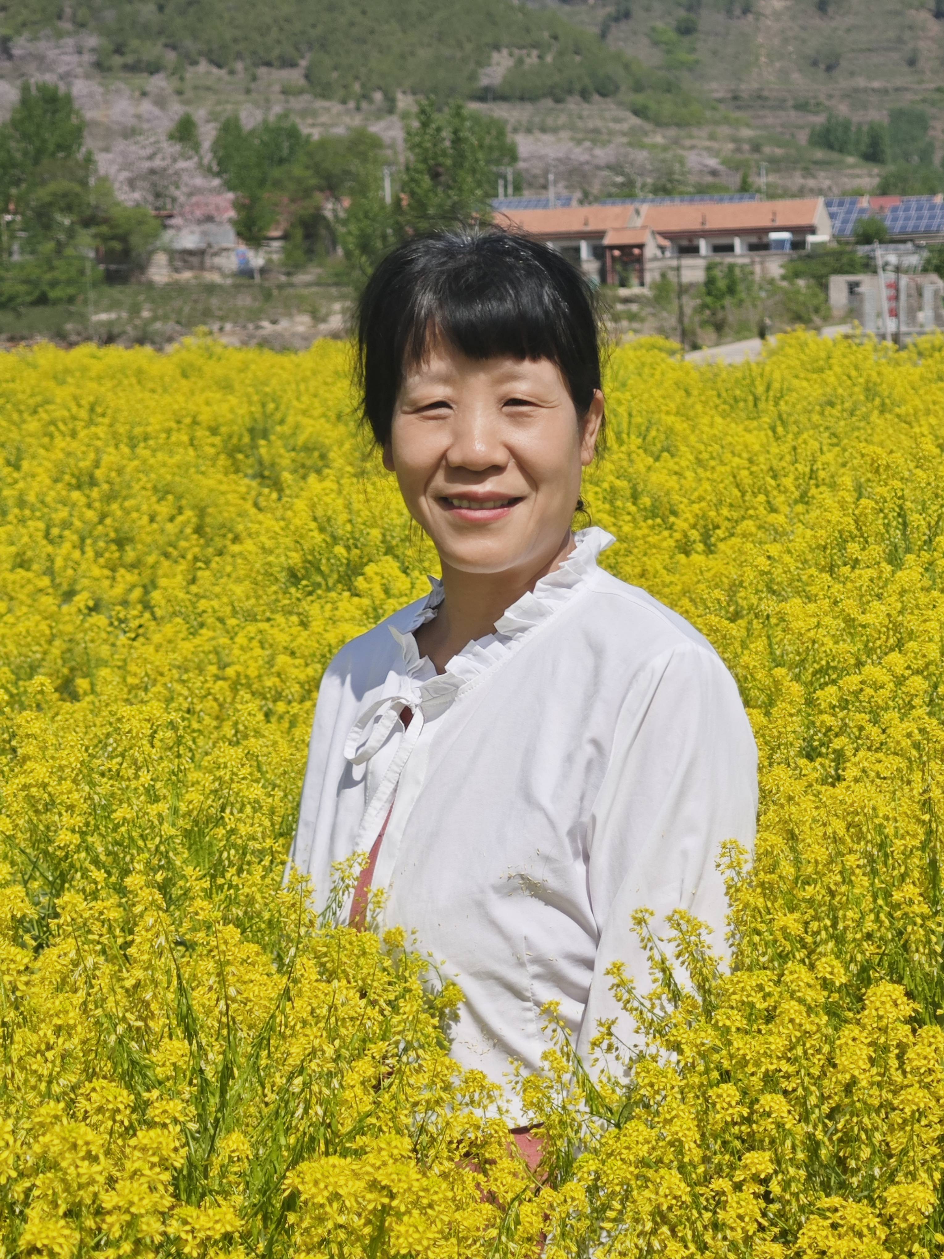 欧洲菘蓝,中国之大青叶