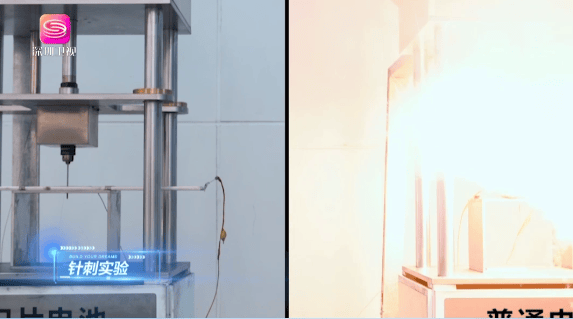 比亚迪又火了!北欧企业家组团参访,盛赞中国新能源创新实力