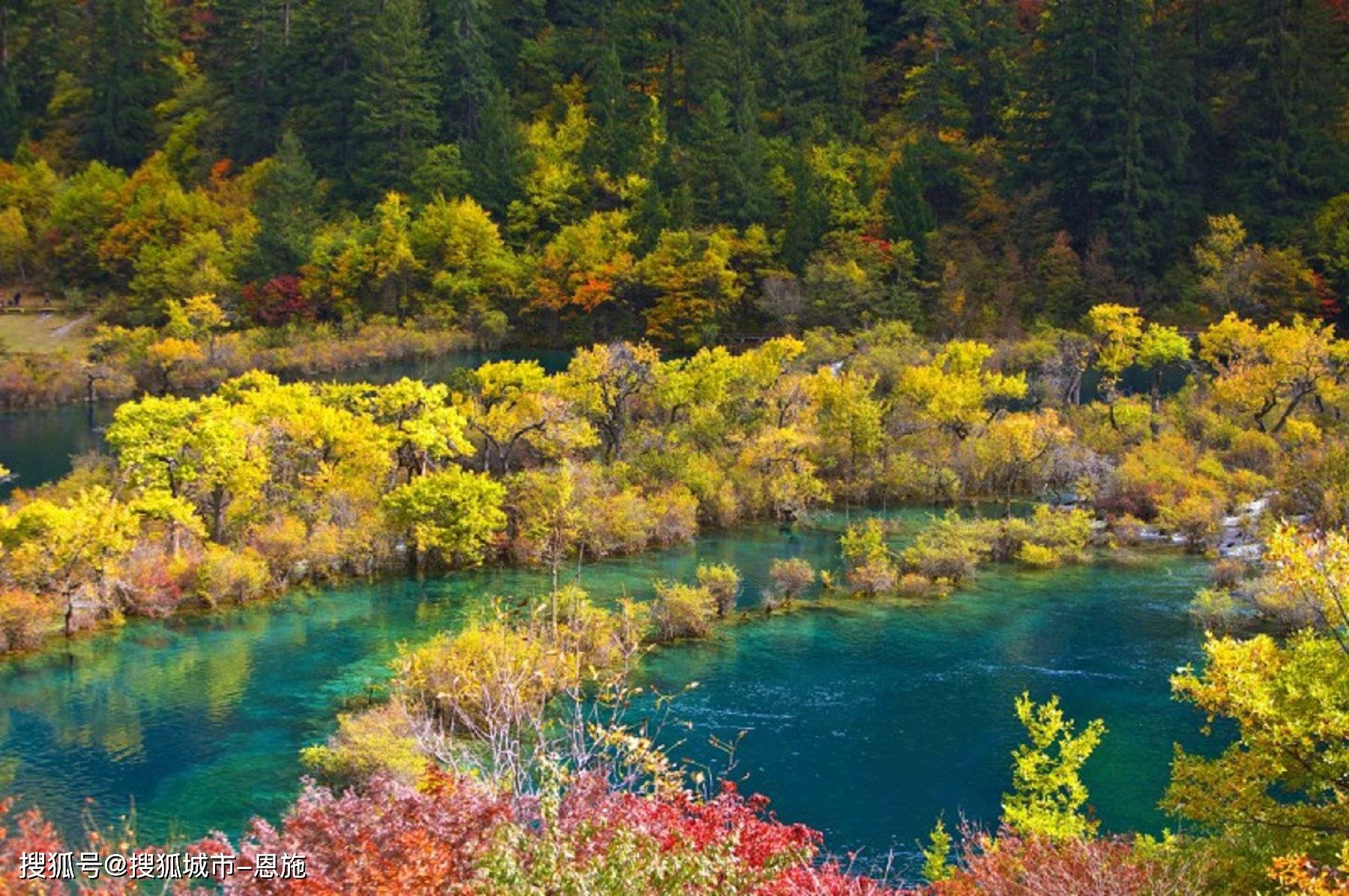 成都_九寨沟_价格