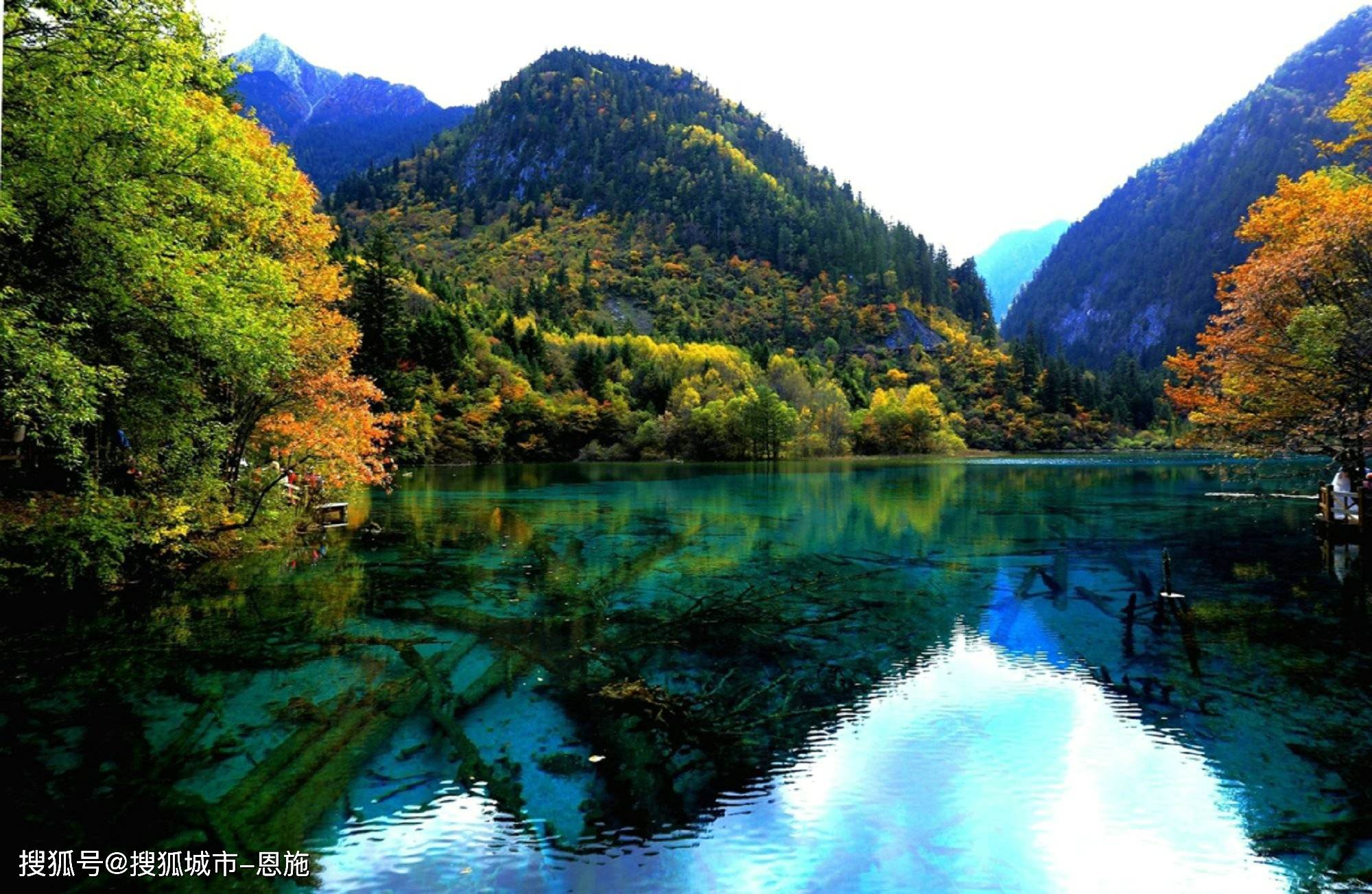 四川旅游旅行社六天五晚价格表,看完不踩坑!