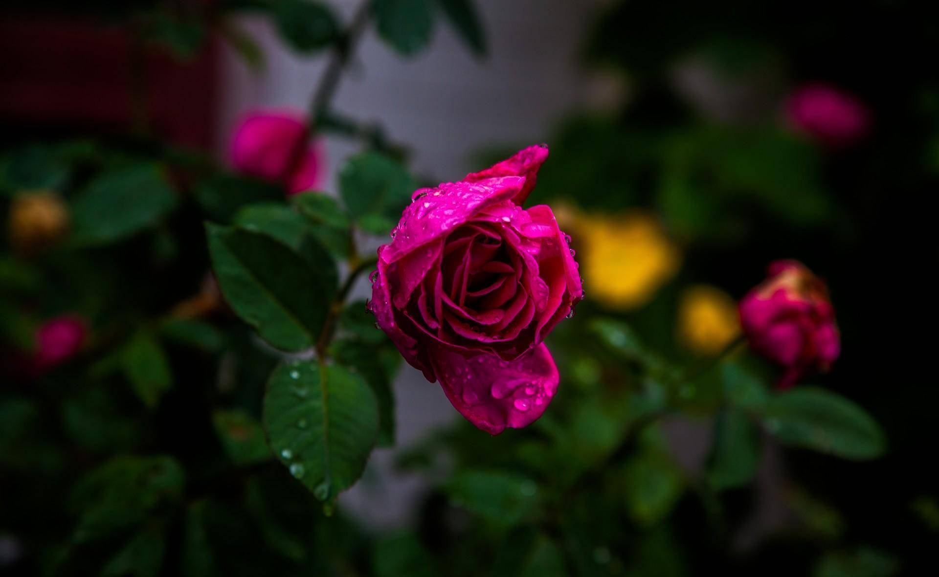 "正因为言而有信,所以才会成为一个值得信赖的人,更是一个值得深交的