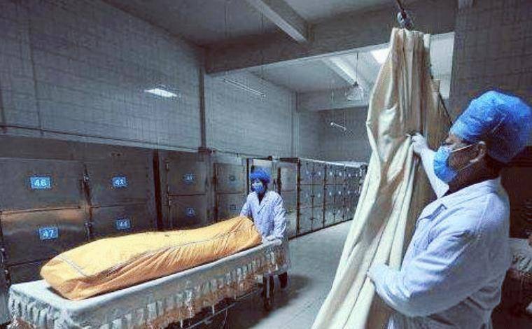 人体标本制作师:高工资全年无休,靠捐献,一年制作50具人体标本