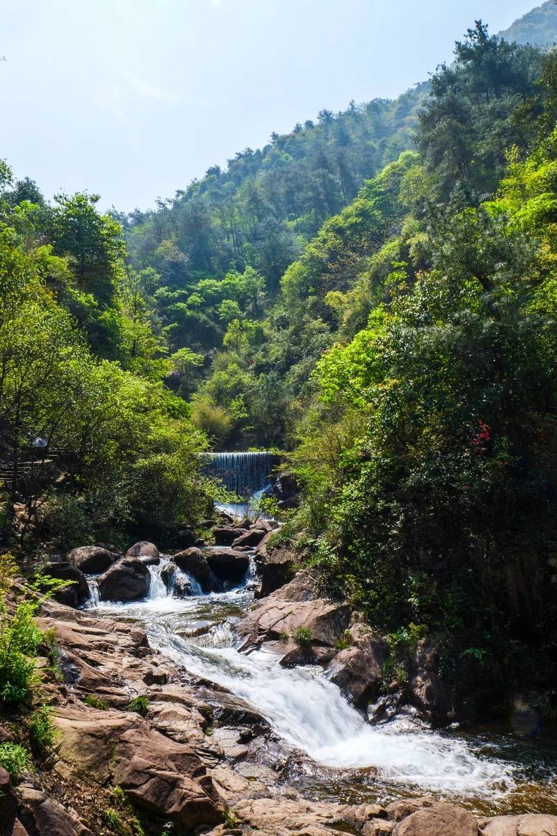初夏,来桐庐遇见大奇山