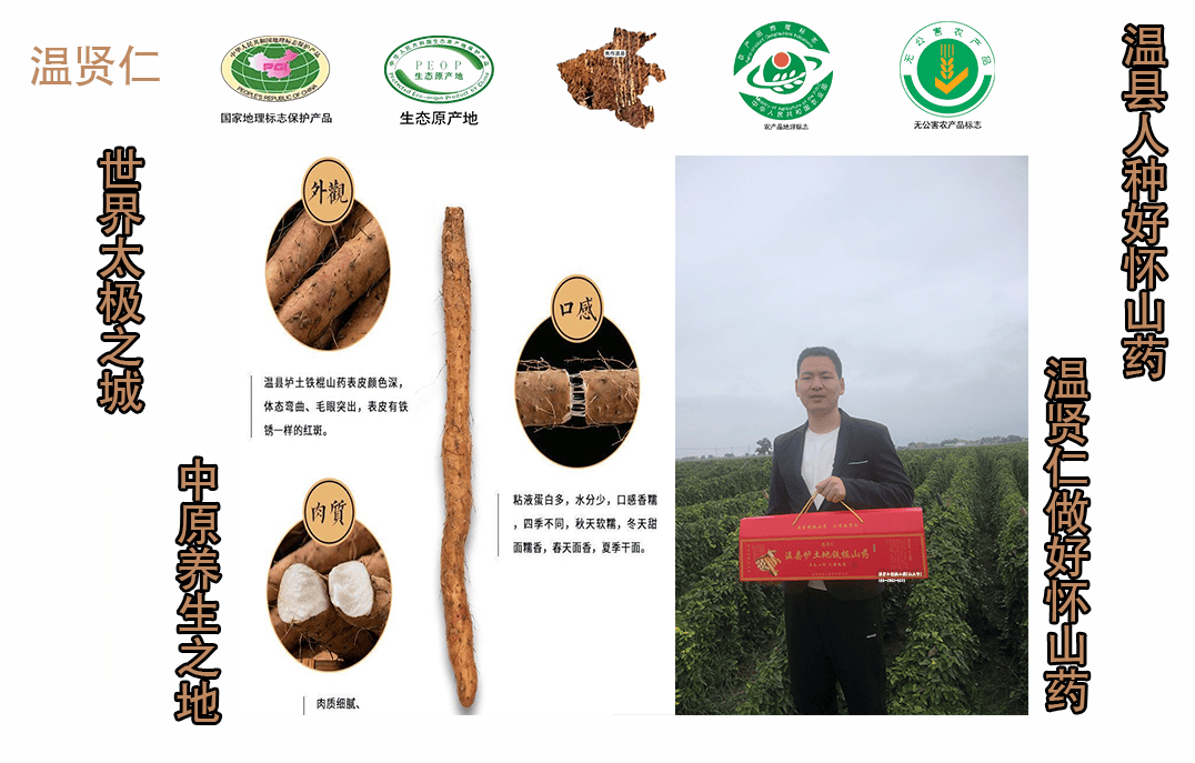 温县垆土铁棍山药:品质卓越,口感独特,温贤仁垆土铁棍山药根根正宗道
