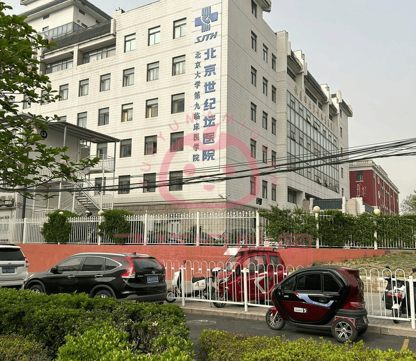 世纪坛医院代取报告代挂号老人体检全程陪护，安心完成检查的简单介绍