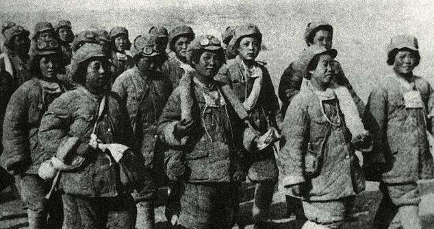 解放,是新疆棉花的奠基人,王震评其功盖天山_陶峙岳_国民党_张治中