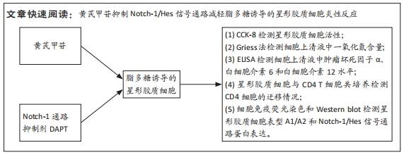 黄芪甲苷可抑制炎性诱导星形胶质细胞激活及炎症反应