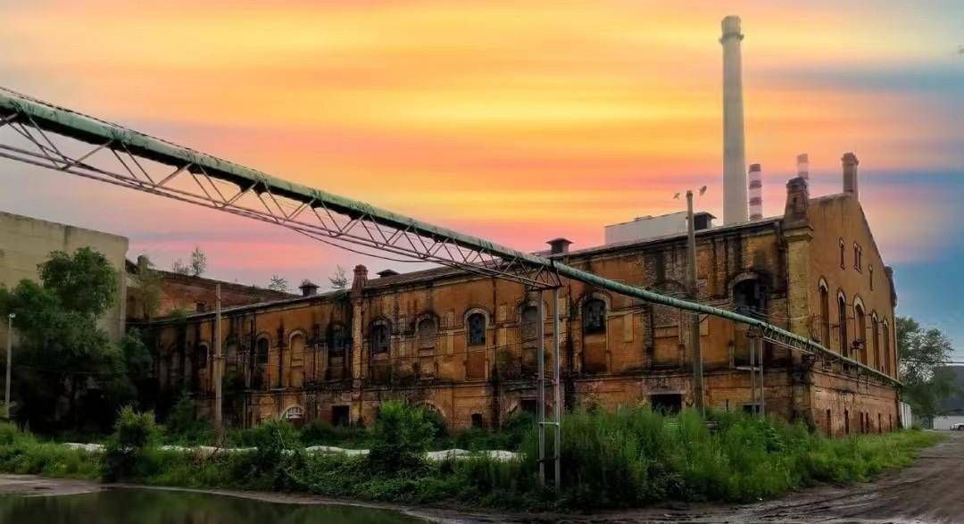 大有可为,我国甜菜产业的发展