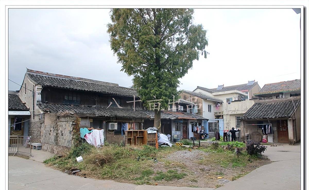 "仲草走天下,一席创世界"-仲一村(宁波市海曙区古林镇)